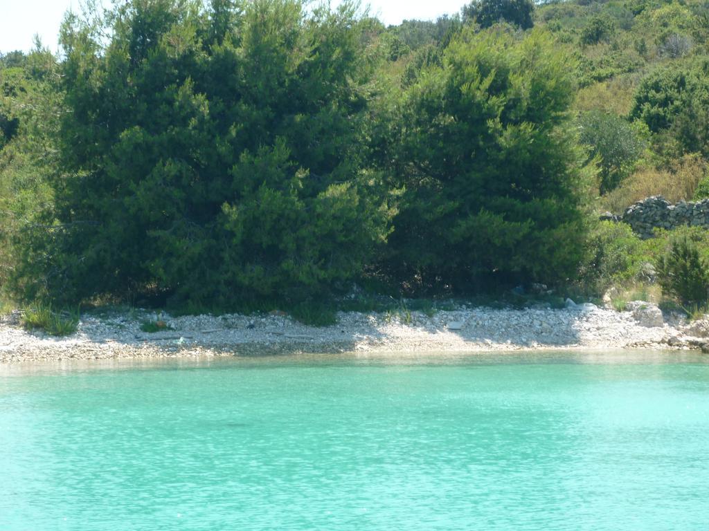 Apartment Pika Smokvina 2A Vinišće 객실 사진